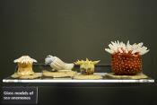 manchester museum 9-2023 8909